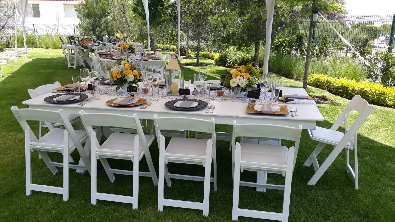 Montaje de mesa para evento al aire libre con flores amarillas y blancas, vajilla elegante y sillas blancas bajo carpa en Querétaro.